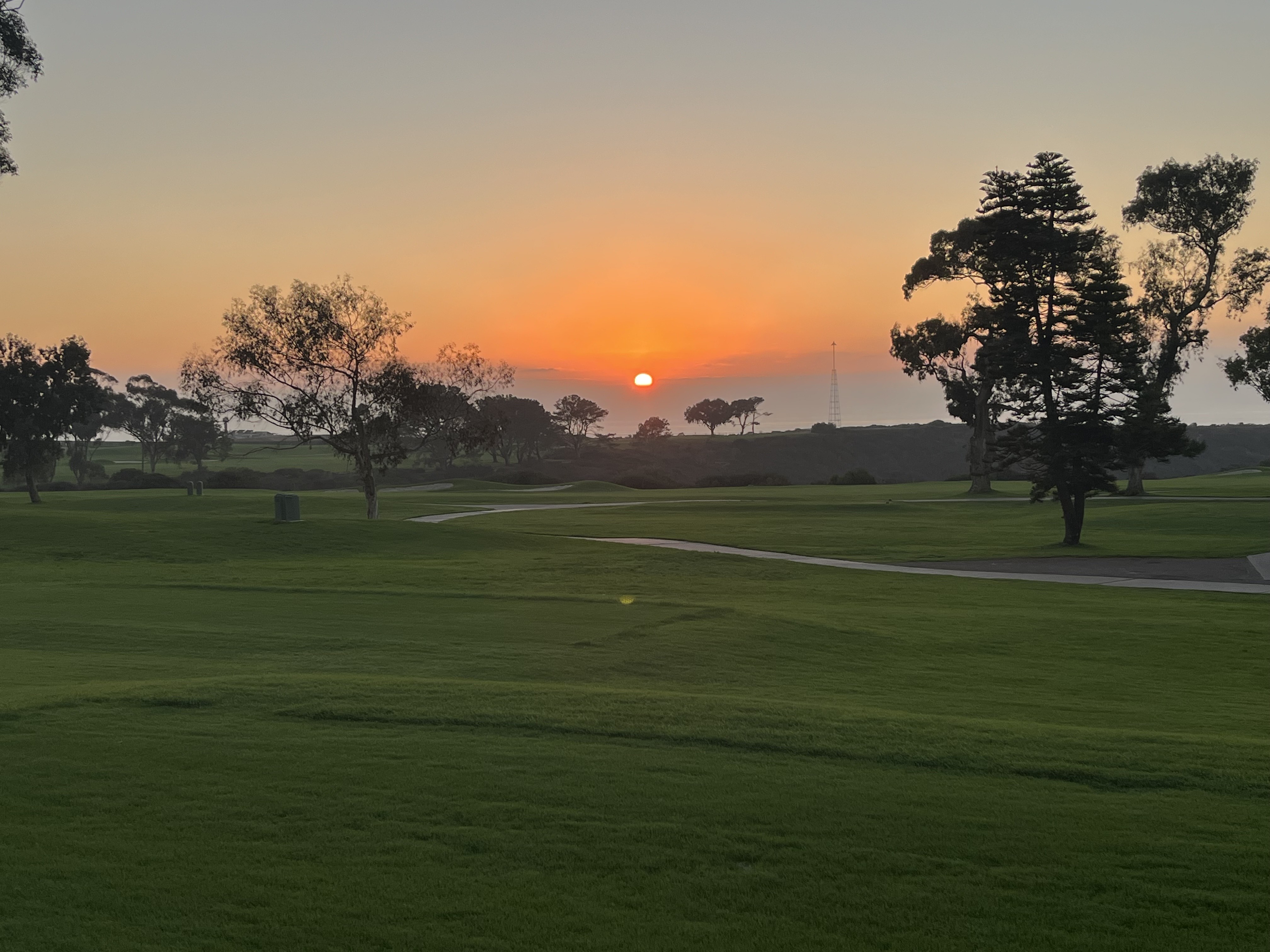 Sunset over greenspace